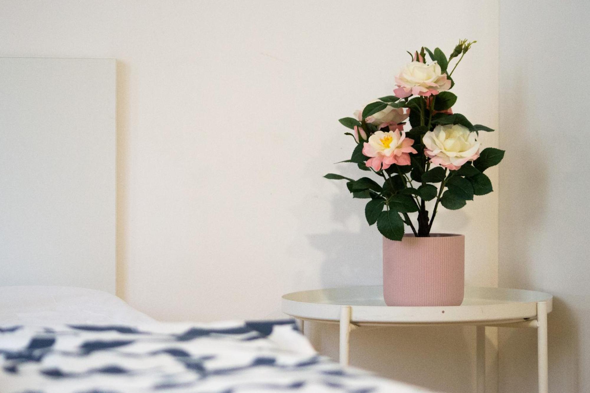 브르노 Apartman Vlna 아파트 외부 사진